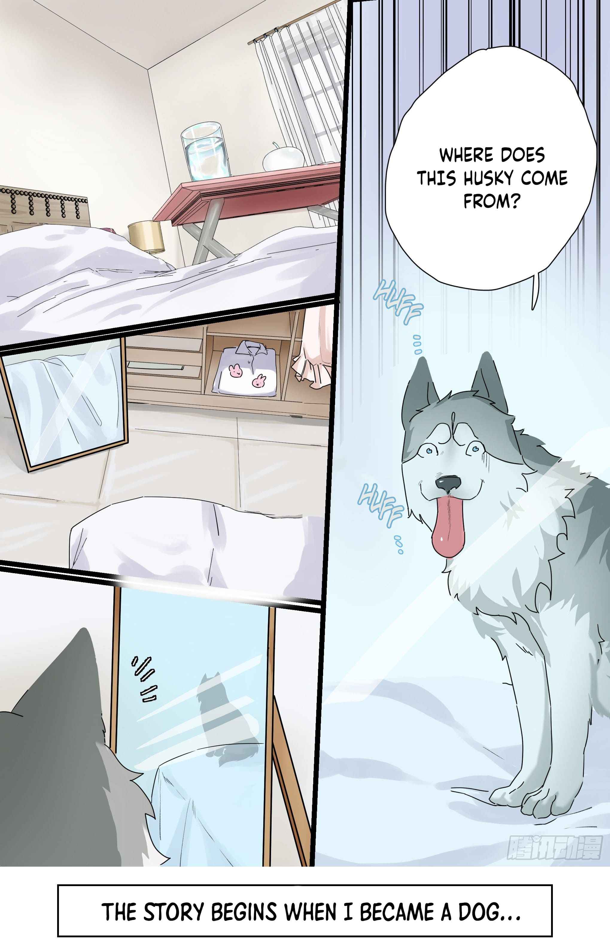 Idol's Husky is a great streamer?! Chapter 0 2